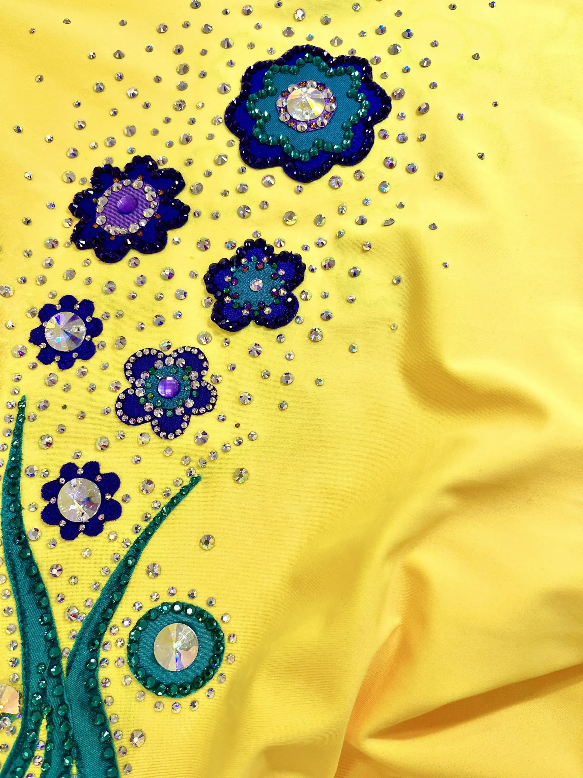 Irises Dance - Image 2